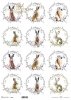 zające, wieńce*hares, wreaths*Hasen, Kränze*liebres, coronas